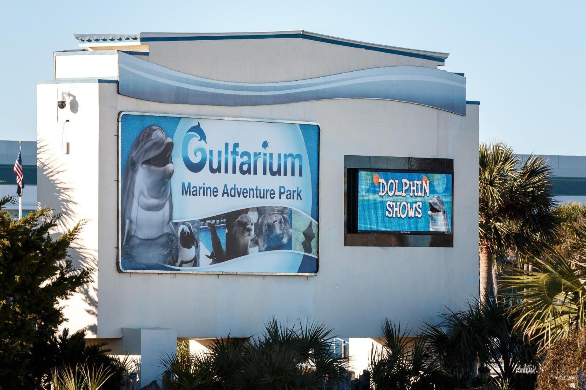 Nautilus 2408 Gulf View 2 Bedroom 4Th Floor Free Beach Service フォート・ウォルトン・ビーチ エクステリア 写真